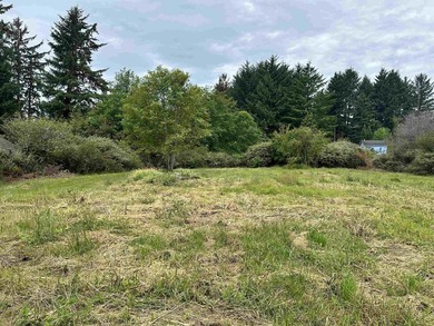 304 Humboldt Rd offers a rare opportunity to build your dream - photo 8
