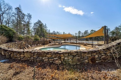 Lake James Gem - Just in Time for Summer. Deeded boat slip, lake - photo 42