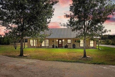 (private lake, pond, coastal) Home For Sale in Gilmer Texas