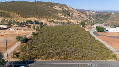 Hidden Valley Lake Acreage For Sale in Hidden Valley Lake California