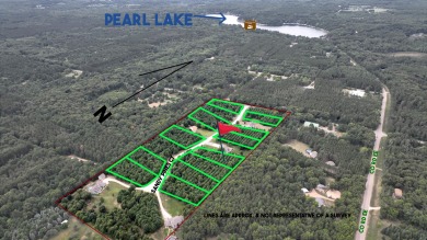 Pearl Lake Acreage For Sale in Redgranite Wisconsin