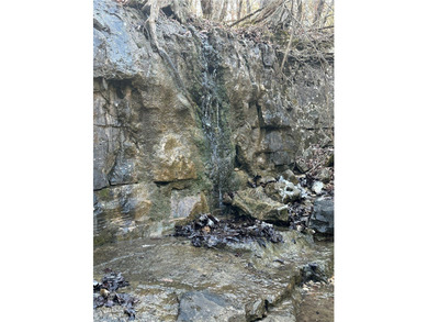 Once in a lifetime opportunity....457 acres of virtually - photo 25