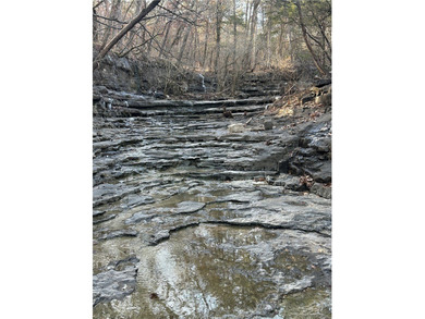 Once in a lifetime opportunity....457 acres of virtually - photo 27
