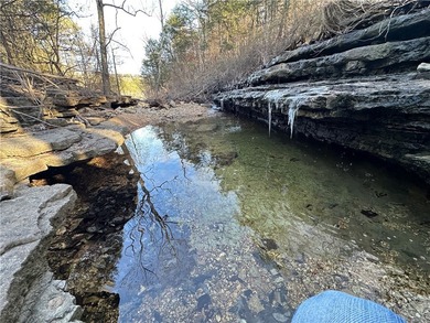 Once in a lifetime opportunity....457 acres of virtually - photo 29