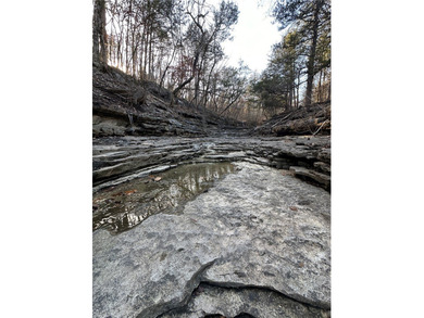 Once in a lifetime opportunity....457 acres of virtually - photo 30
