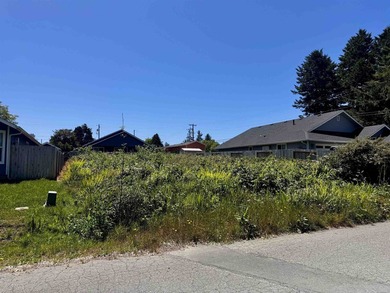 Sunny Residential Lot Ready for Your New Home Build your vision - photo 1