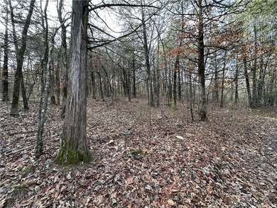 Once in a lifetime opportunity....457 acres of virtually - photo 31