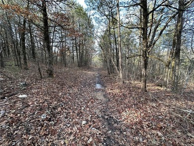 Once in a lifetime opportunity....457 acres of virtually - photo 32