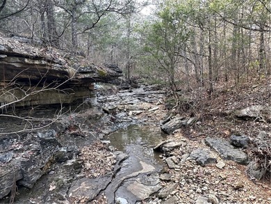 Once in a lifetime opportunity....457 acres of virtually - photo 35