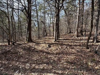 Once in a lifetime opportunity....457 acres of virtually - photo 36