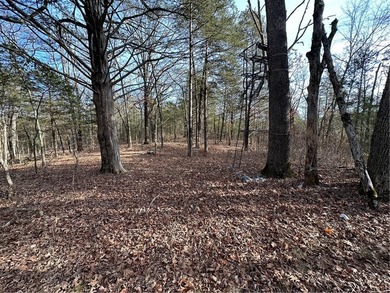 Once in a lifetime opportunity....457 acres of virtually - photo 37