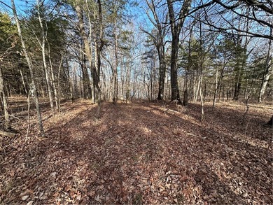 Once in a lifetime opportunity....457 acres of virtually - photo 38