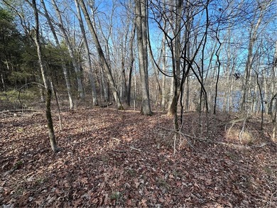Once in a lifetime opportunity....457 acres of virtually - photo 39