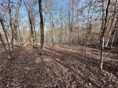 Once in a lifetime opportunity....457 acres of virtually - photo 40