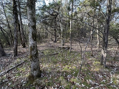 Once in a lifetime opportunity....457 acres of virtually - photo 41