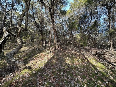 Once in a lifetime opportunity....457 acres of virtually - photo 42