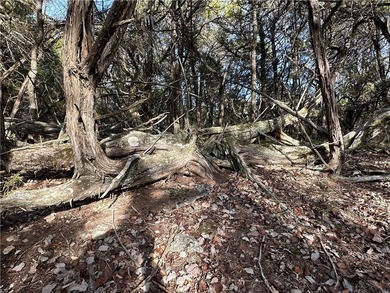 Once in a lifetime opportunity....457 acres of virtually - photo 43