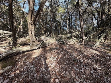 Once in a lifetime opportunity....457 acres of virtually - photo 44