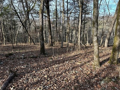 Once in a lifetime opportunity....457 acres of virtually - photo 46