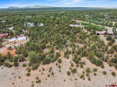 Mistalyn Kuzov, United Country Sneffels Realty, C:,,: Located - photo 12