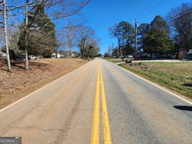 Welcome to 798 Peeksville Road in Locust Grove! Whether you're a - photo 21