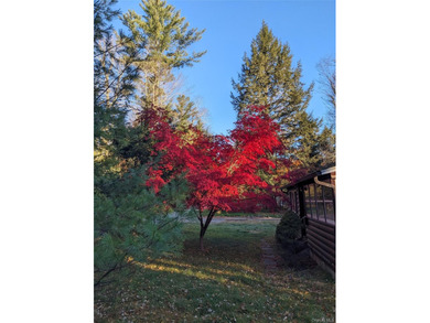 Step back in time with this original 1945 Smallwood log cabin - photo 37