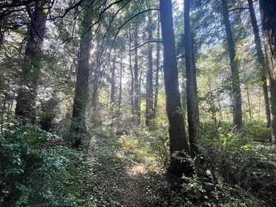 Discover a rare opportunity at the end of a quiet road near Lake - photo 3