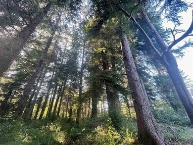 Discover a rare opportunity at the end of a quiet road near Lake - photo 6
