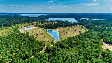 Lake O The Pines Acreage For Sale in Avinger Texas