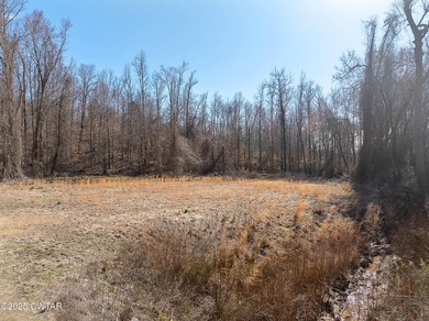 Beautiful acreage near Lake Halford with approximately 500 ft of - photo 21