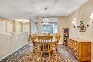 This gorgeous main-level living townhouse in Chestnut Villas is - photo 23