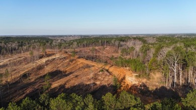 Bay Springs Lake Acreage For Sale in  Mississippi