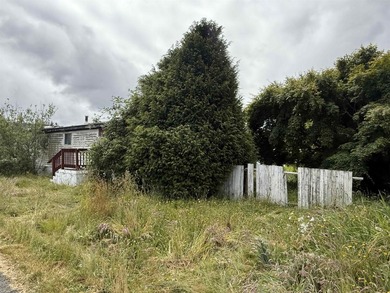 Mobile is sold in as is condition. Buyers need mobile home park - photo 3