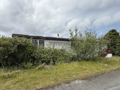 Mobile is sold in as is condition. Buyers need mobile home park - photo 4