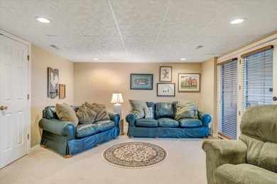 This gorgeous main-level living townhouse in Chestnut Villas is - photo 50