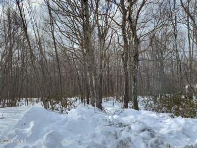 Lake Adventure Lot For Sale in Select One Pennsylvania