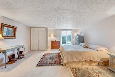 This gorgeous main-level living townhouse in Chestnut Villas is - photo 51