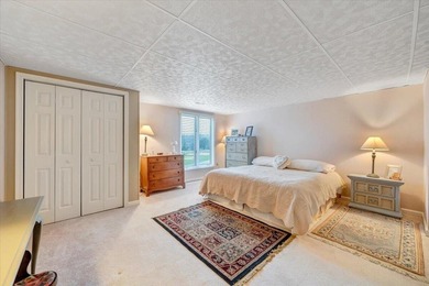 This gorgeous main-level living townhouse in Chestnut Villas is - photo 52