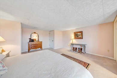This gorgeous main-level living townhouse in Chestnut Villas is - photo 53