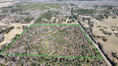 Exceptional opportunity to own 57.58 acres located in Sabine ISD - photo 4