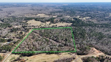 Exceptional opportunity to own 57.58 acres located in Sabine ISD - photo 7