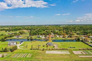 (private lake, pond, coastal) Home For Sale in Plant City Florida