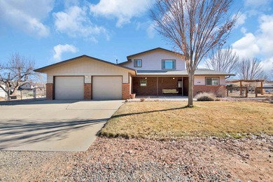 (private lake, pond, creek) Home Sale Pending in Grand Junction Colorado