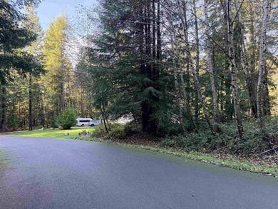 Prime Redwood Retreat - Nearly 1 Acre in Serene Hiouchi - photo 3