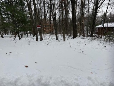 School Section Lake - Mecosta County Lot For Sale in Mecosta Michigan