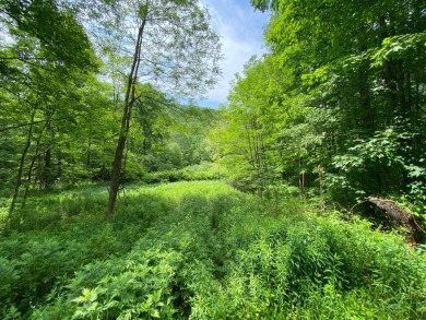 (private lake, pond, creek) Acreage For Sale in Franklin New York