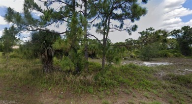 Lehigh Acres Area Lot For Sale in Lehigh Acres Florida