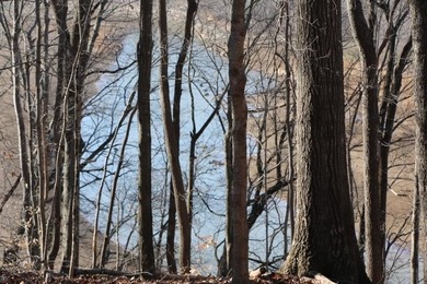 LAKE FRONT WITH PANORAMIC YEAR-ROUND LAKE VIEWS! YOU ARE LESS - photo 3