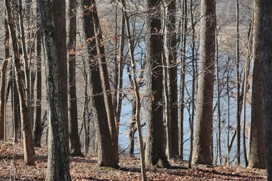LAKE FRONT WITH PANORAMIC YEAR-ROUND LAKE VIEWS! YOU ARE LESS - photo 7