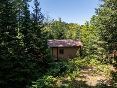 Explore your own secluded lakeside getaway! Situated on 6.5 - photo 11